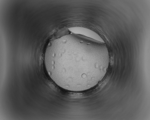 X0000086790476200705111819