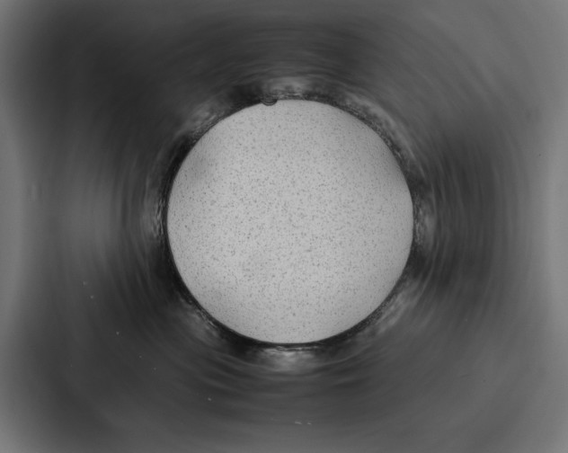 X0000086790477200705111819