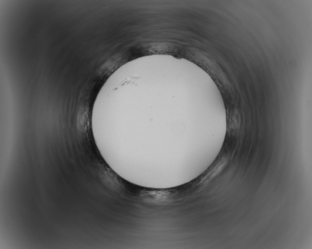 X0000086790478200705111819