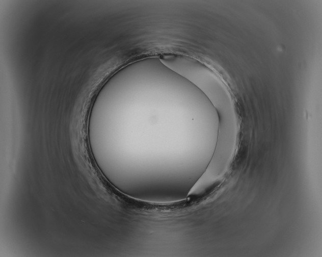 X0000086790481200705111818