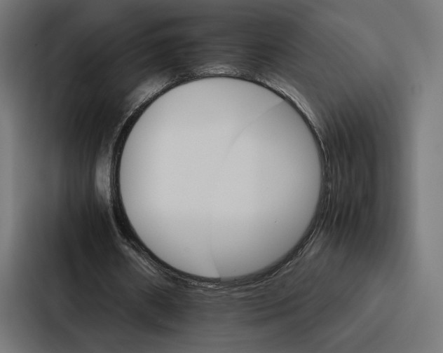 X0000086790482200705111818