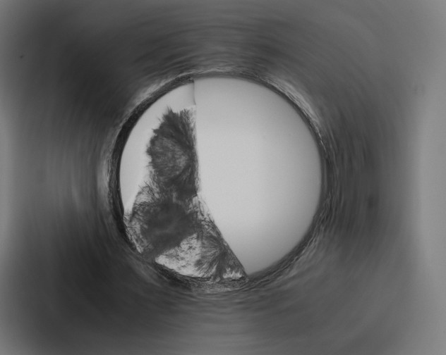 X0000086790483200705111818