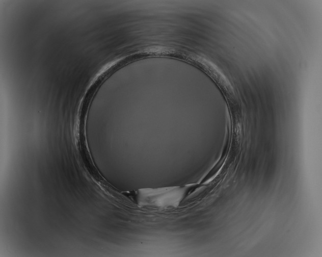 X0000086790484200705111818