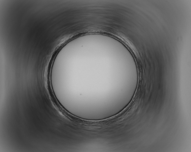 X0000086790485200705111818