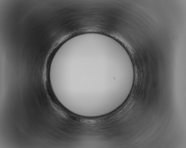 X0000086790486200705111818