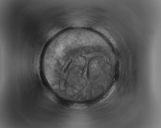 X0000086790487200705111818