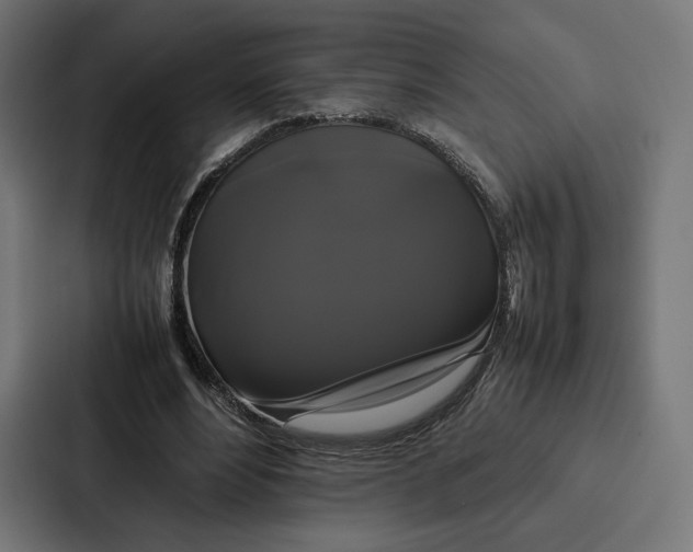 X0000086790488200705111818