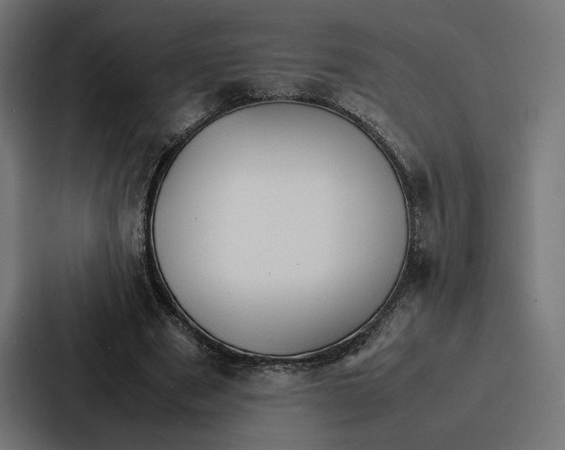 X0000086790489200705111818