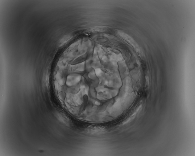 X0000086790491200705111818