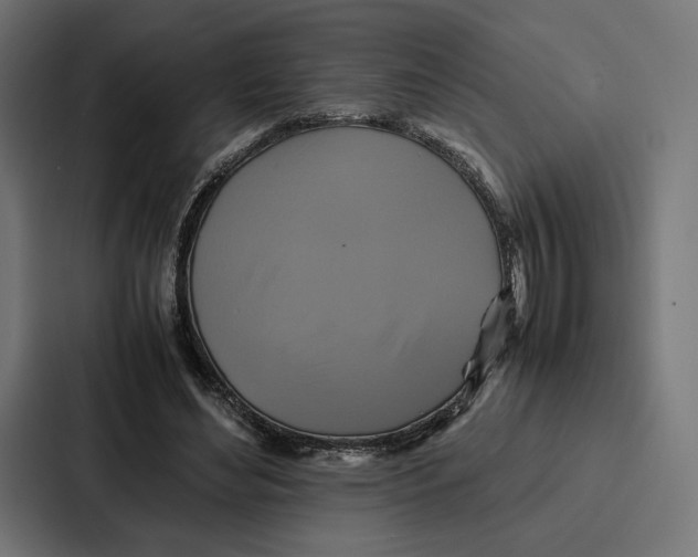 X0000086790492200705111818