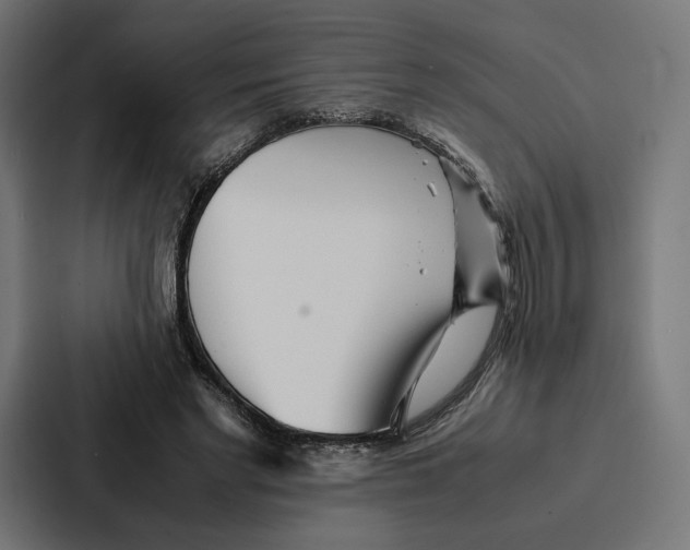 X0000086790493200705111818