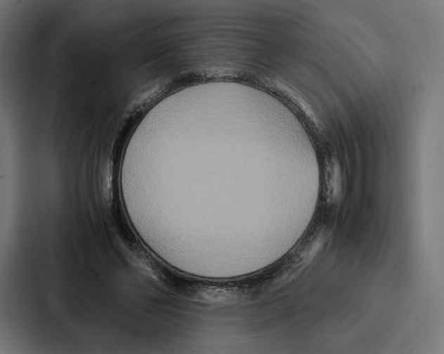 X0000086790494200705111818