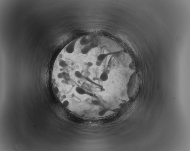 X0000086790495200705111818