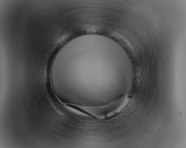 X0000086790496200705111818