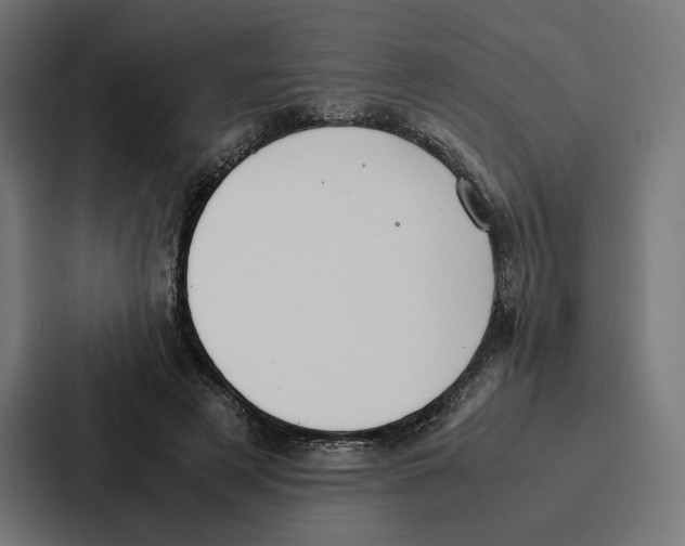 X0000086790497200705111818