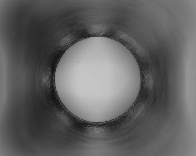 X0000086790498200705111818