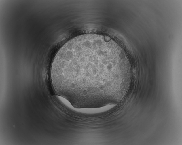 X0000086790499200705111818