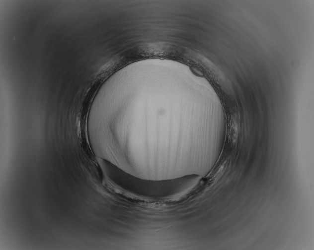 X0000086790500200705111818