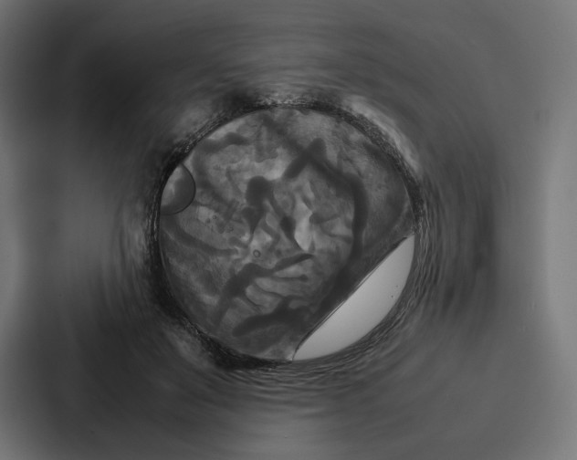 X0000086790503200705111818