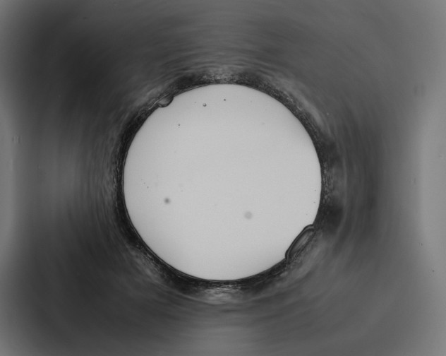 X0000086790505200705111818