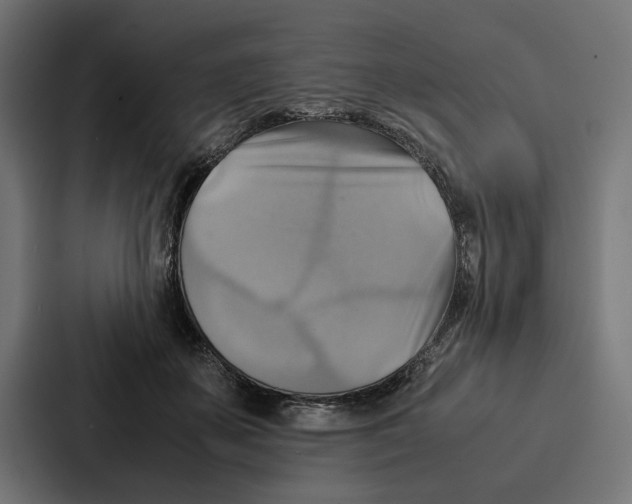 X0000086790507200705111818