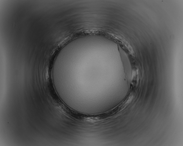 X0000086790508200705111818