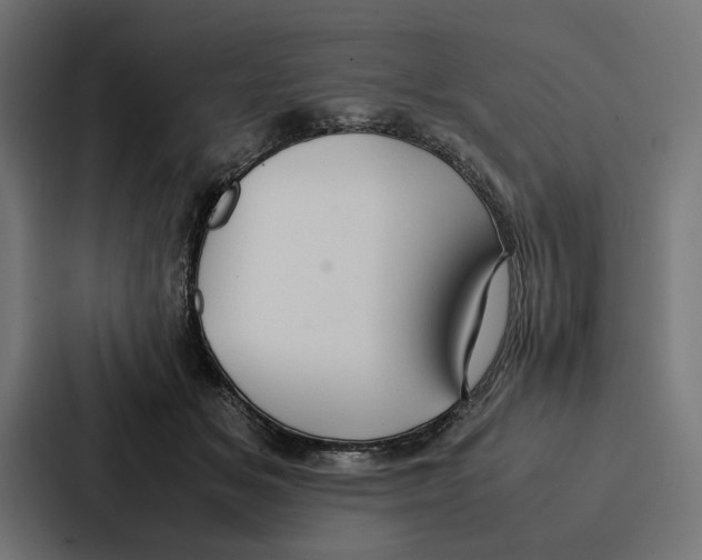 X0000086790509200705111818