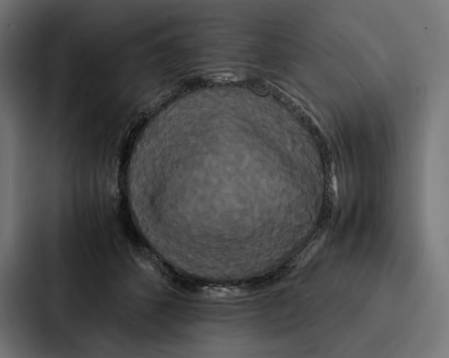 X0000086790512200705111818