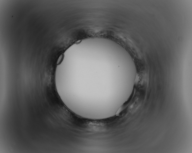 X0000086790515200705111818