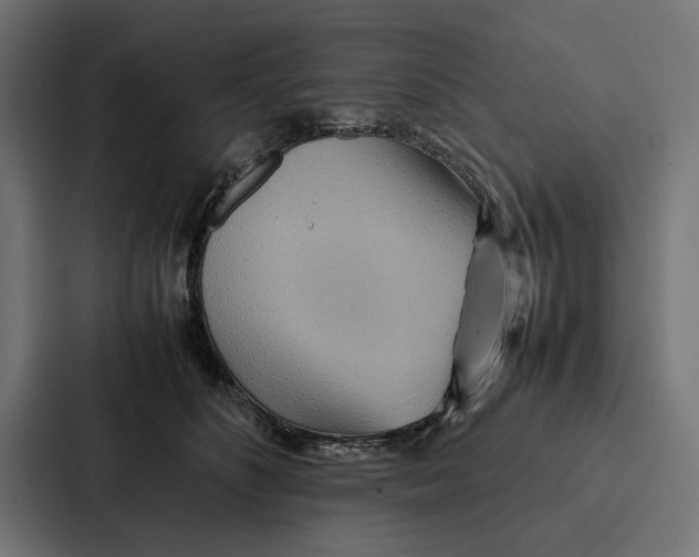 X0000086790516200705111818