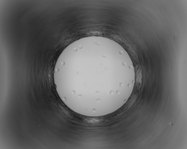 X0000086790518200705111818