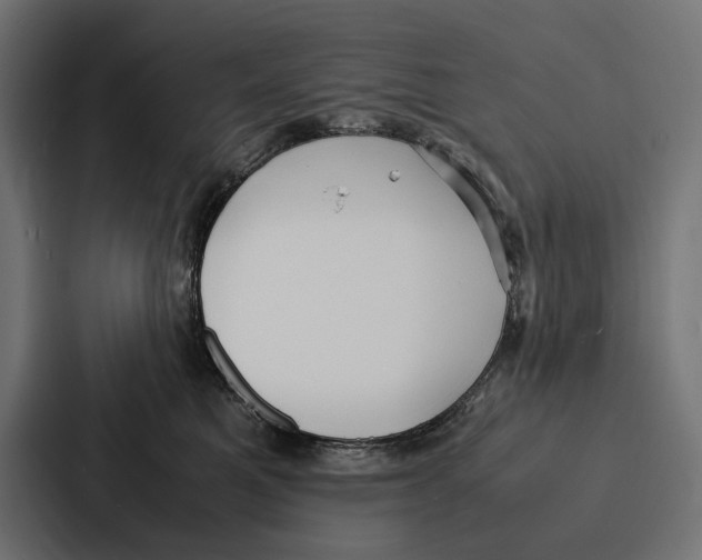 X0000086790521200705111818