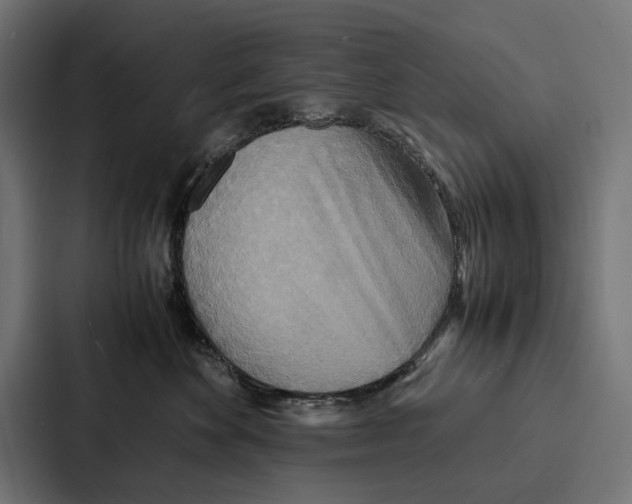 X0000086790524200705111818