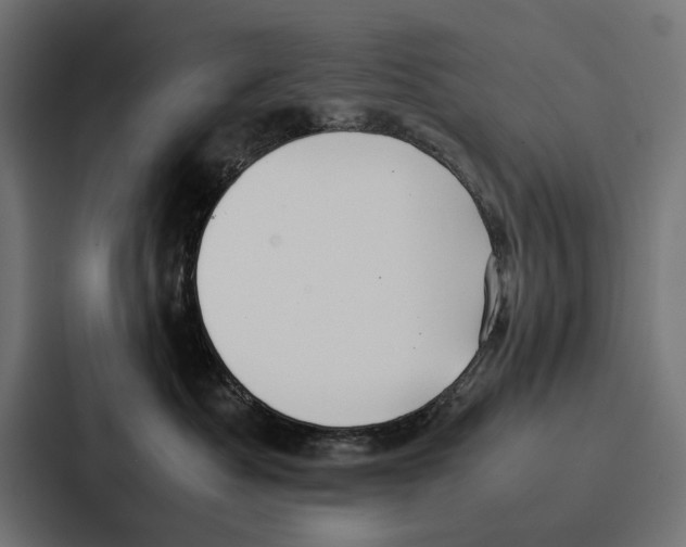 X0000086790525200705111818