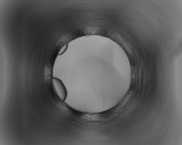 X0000086790526200705111818