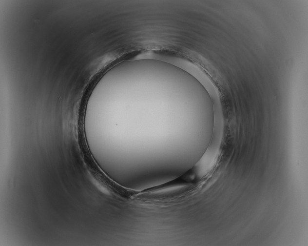 X0000086790530200705111817