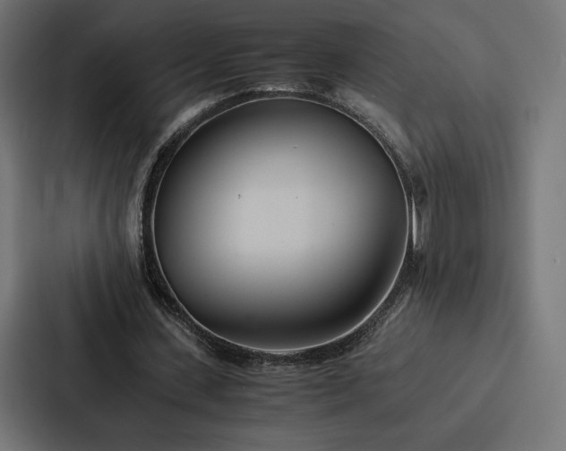 X0000086790531200705111817