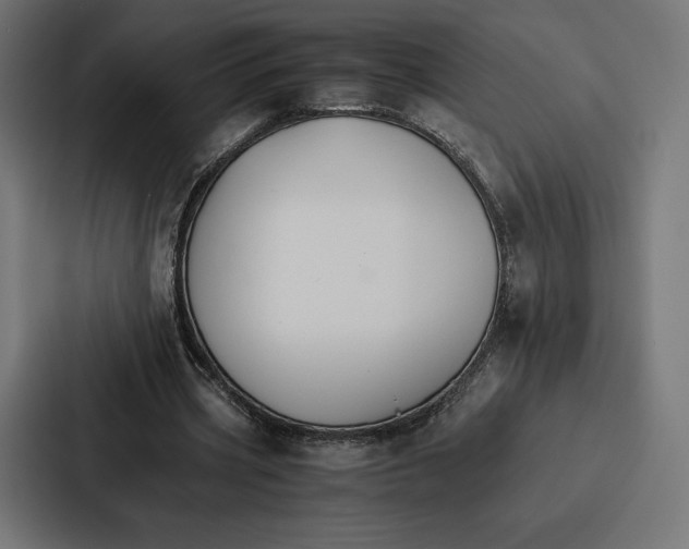 X0000086790533200705111817