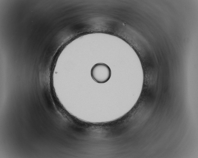 X0000086790534200705111817