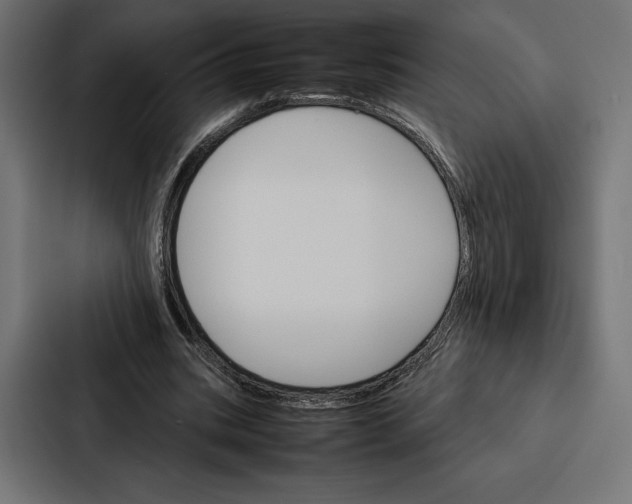 X0000086790535200705111817