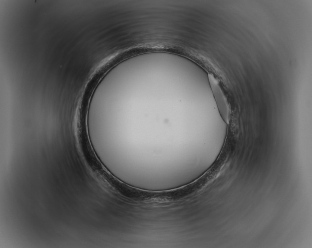 X0000086790536200705111817