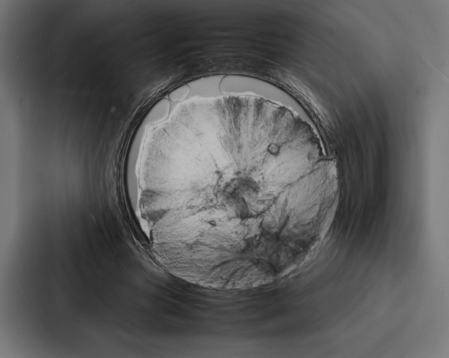 X0000086790537200705111817