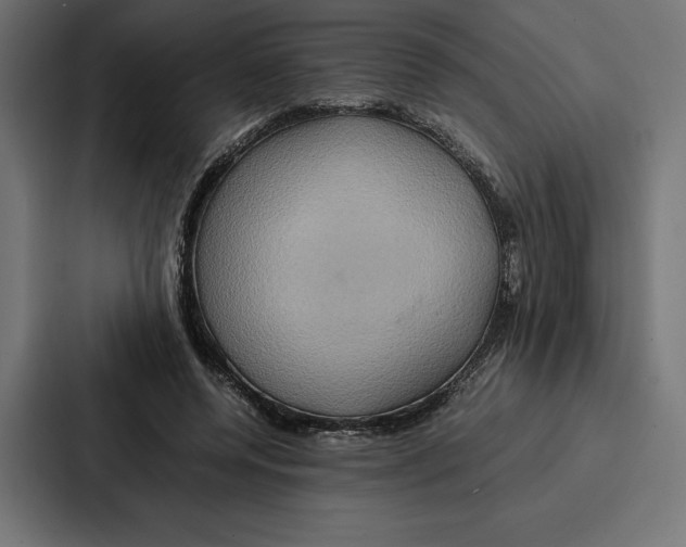 X0000086790544200705111817