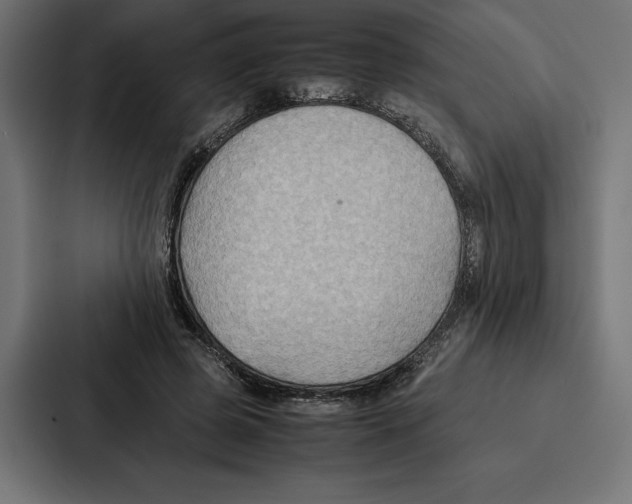 X0000086790545200705111817