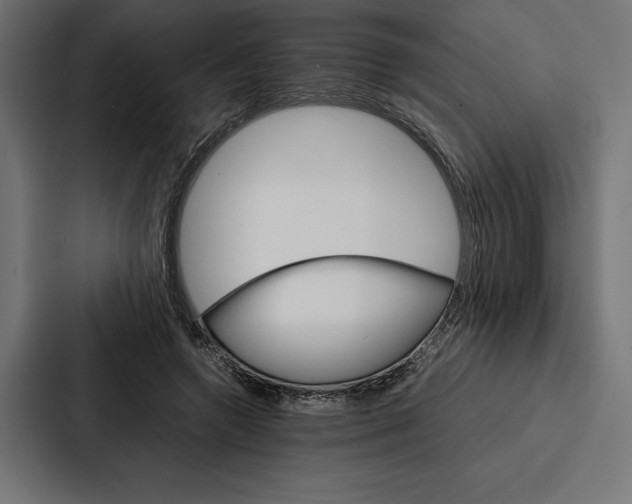 X0000086790546200705111817