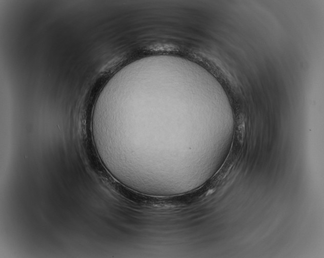 X0000086790547200705111817