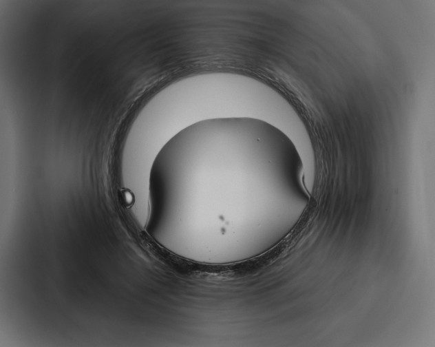 X0000086790548200705111817