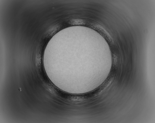 X0000086790549200705111817