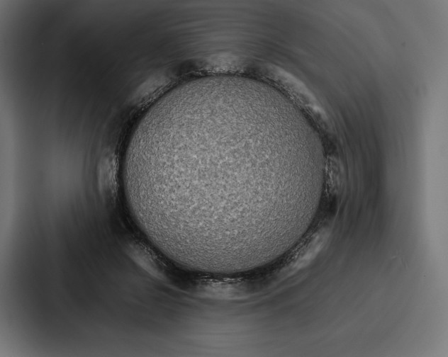 X0000086790550200705111817