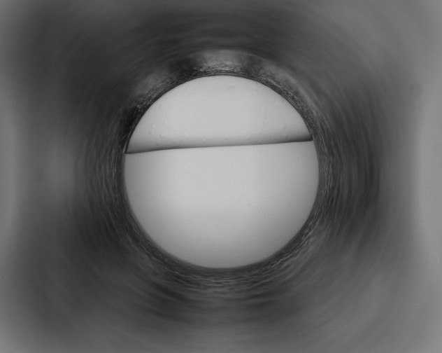 X0000086790551200705111817